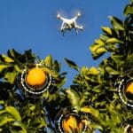 Aerobotics in Africa: How Drones & AI Are Transforming Farming (with Ken Treloar