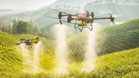 Drone crop spraying